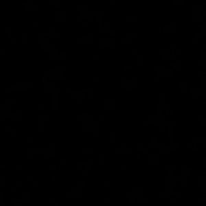 Meet your Posher, Cadence